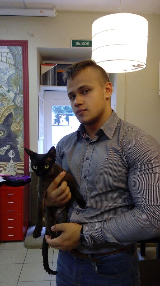  6873109  , 33 ,    -