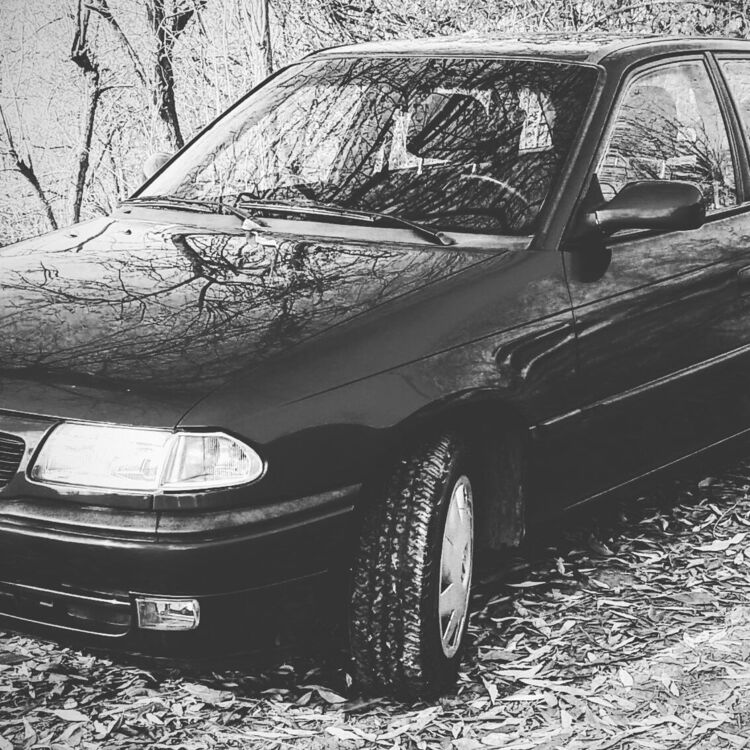 ���� 23874049 ������� �����, 28 ���, ���� ���������� � ������