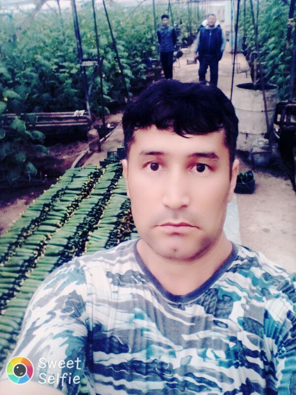  ,   , 46 ,   ,   
