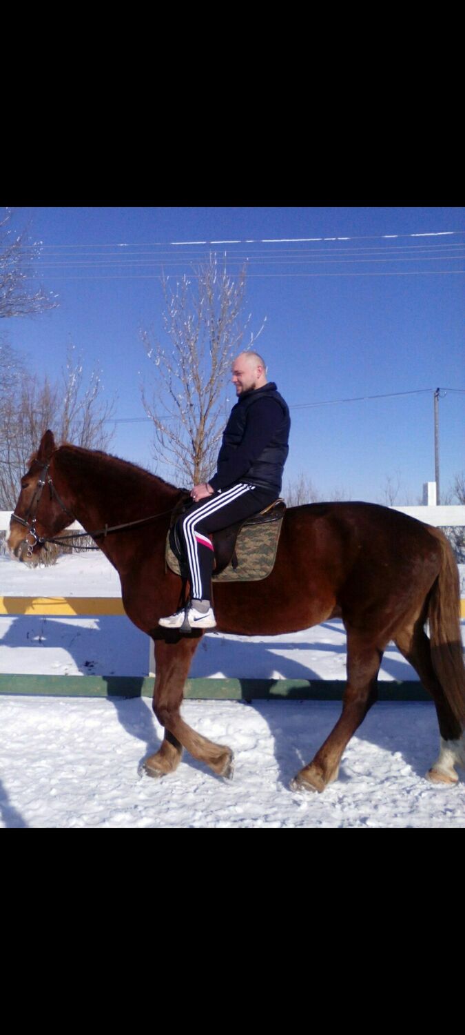 ���� 26002229 ������� �������, 38 ���, ���� ���������� � �����-����������