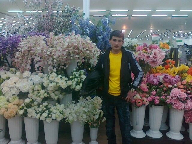 ���� 4162029 ������� ����, 33 ����, ���� ���������� � ������