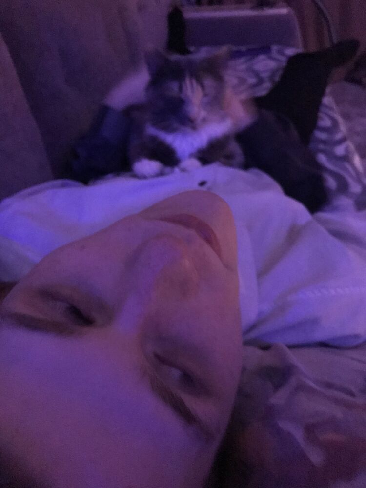 ���������� ������, ���� ����� ���������, 21 ���, ������������ ��� ������