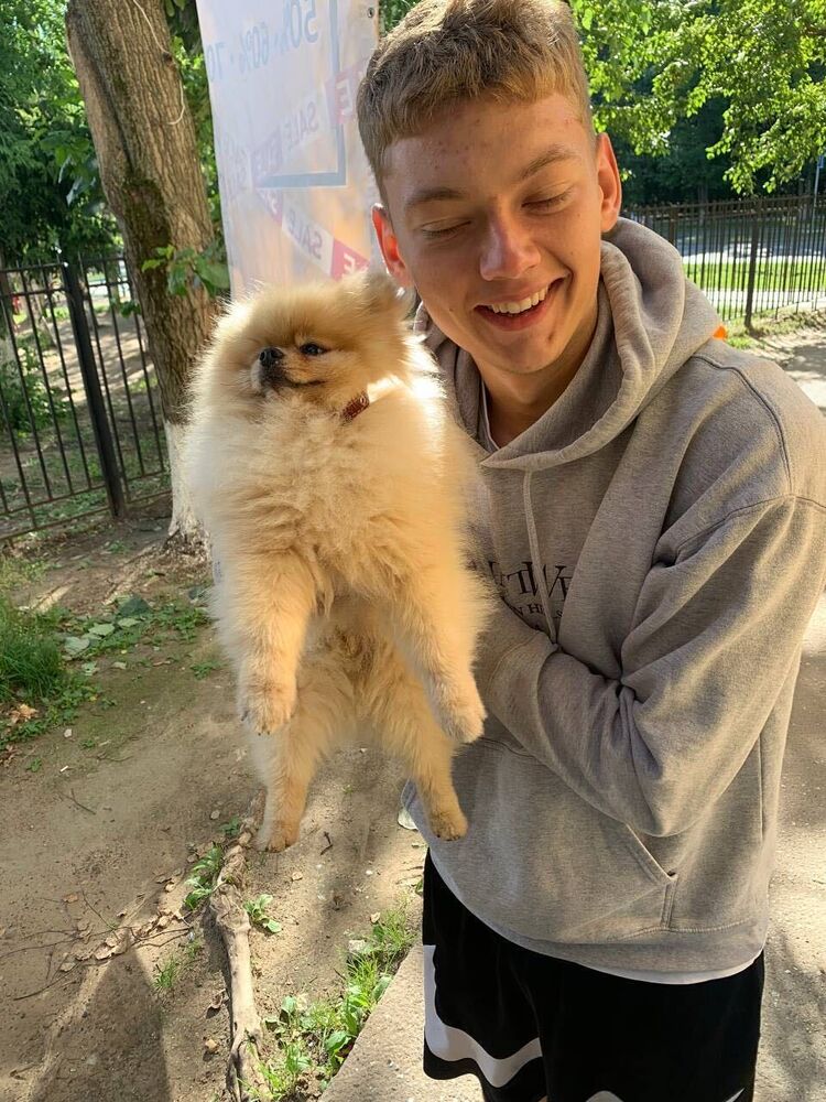 ���������� �����, ���� ����� Artem, 24 ����, ������������ ��� ������, ����� � ���������, ���������