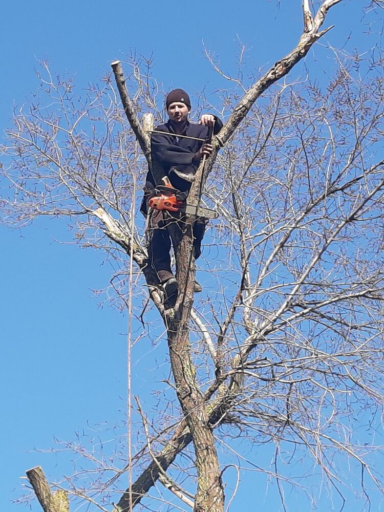 ���� 15845849 ������� ����, 33 ����, ���� ���������� � �������