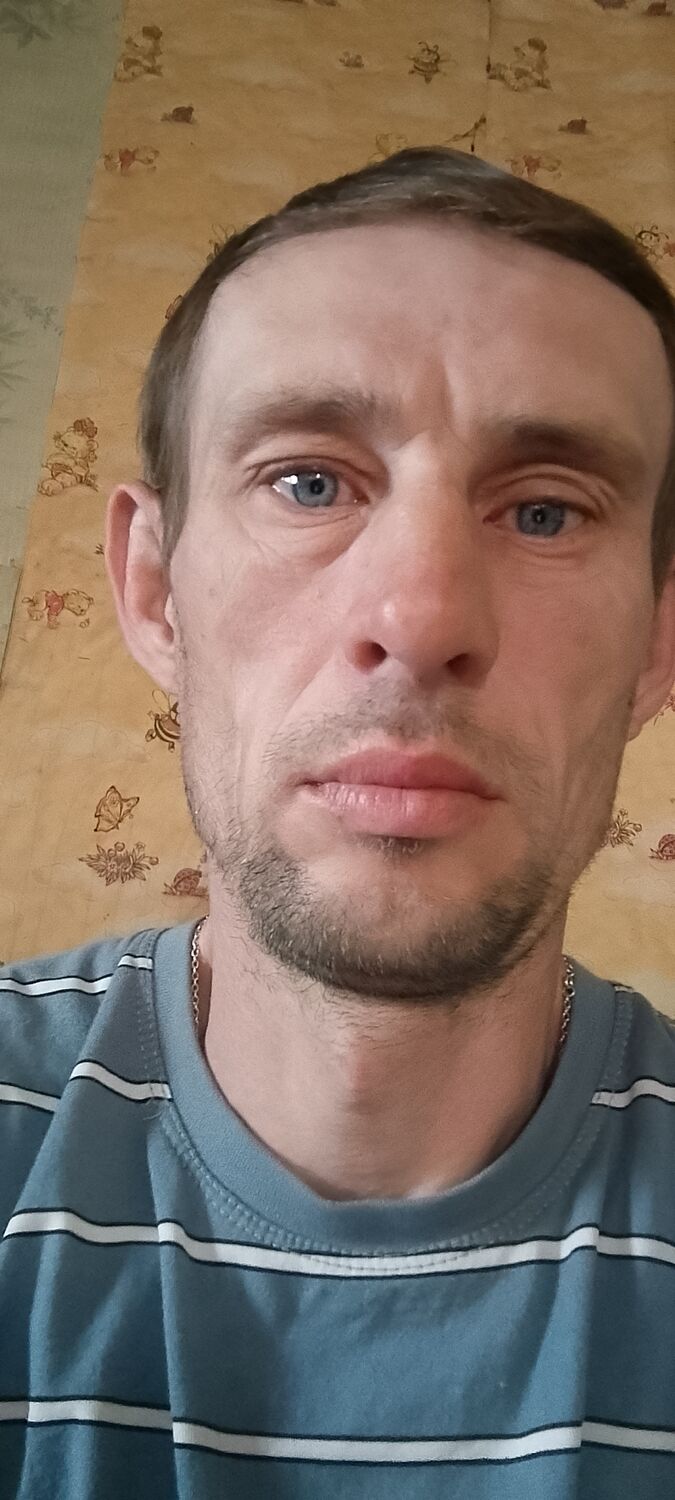  51156869  , 40 ,    