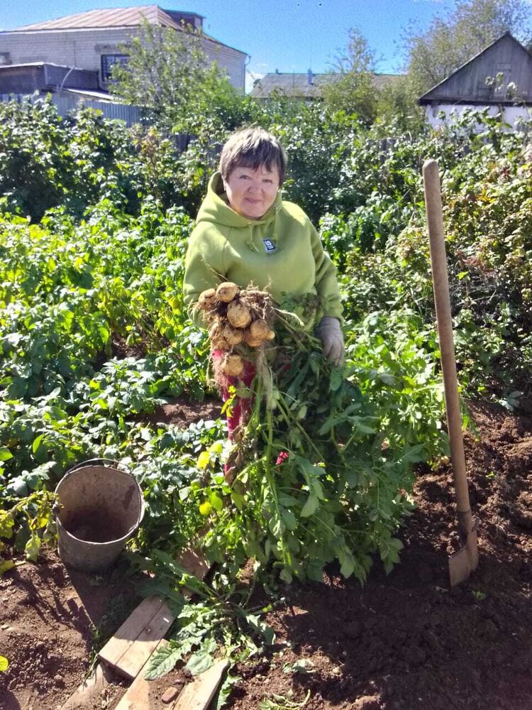  46469399  , 63 ,    --