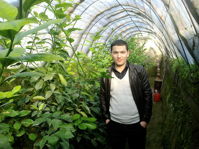  ,   Ulugbek, 37 ,   