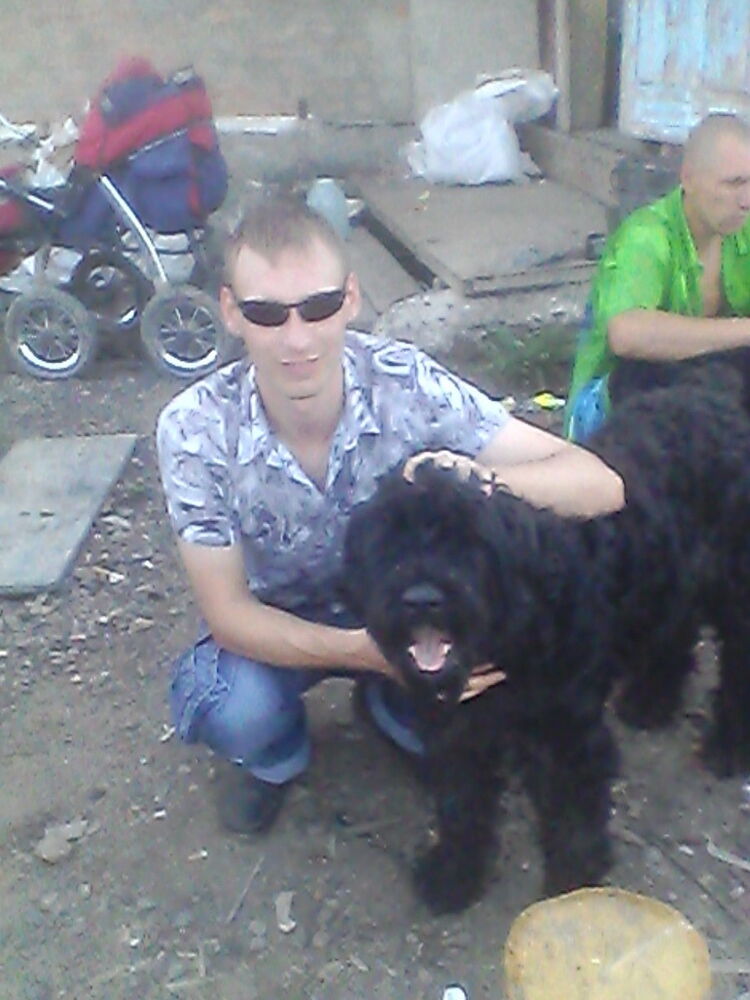  ,   Volk, 38 ,   