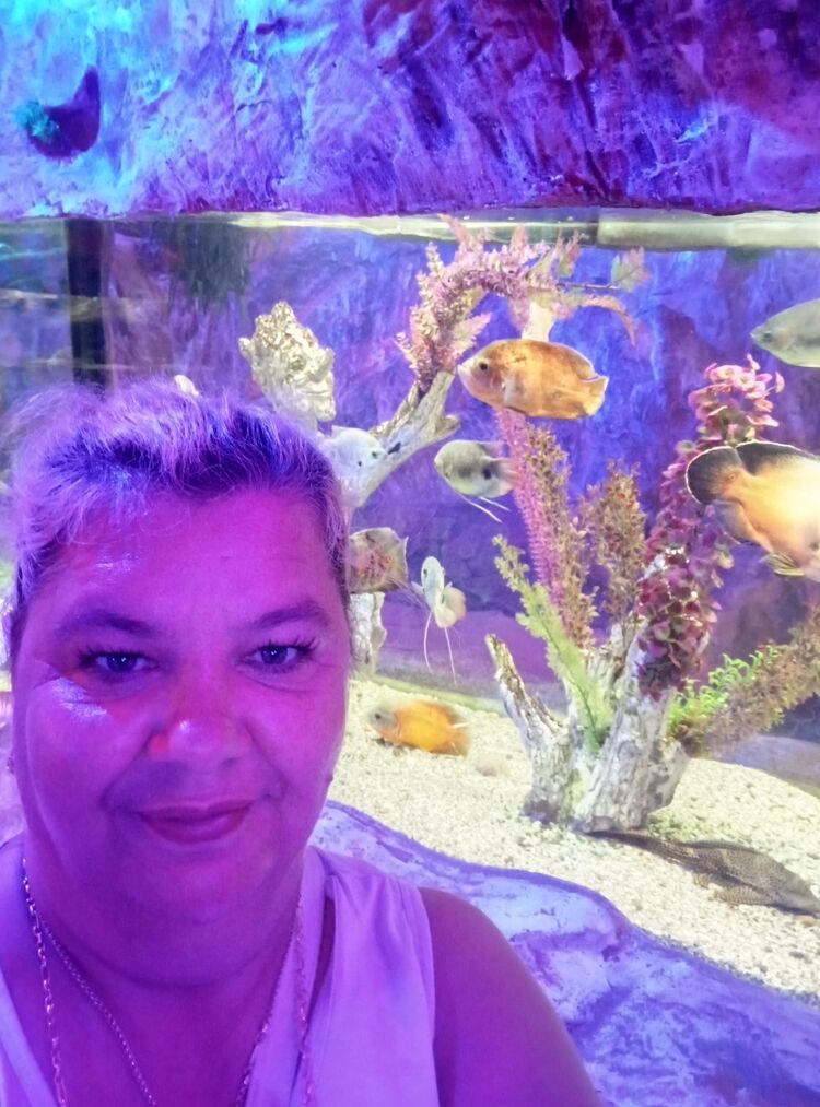 ���� 54522259 ������� �����, 38 ���, ���� ���������� � ����