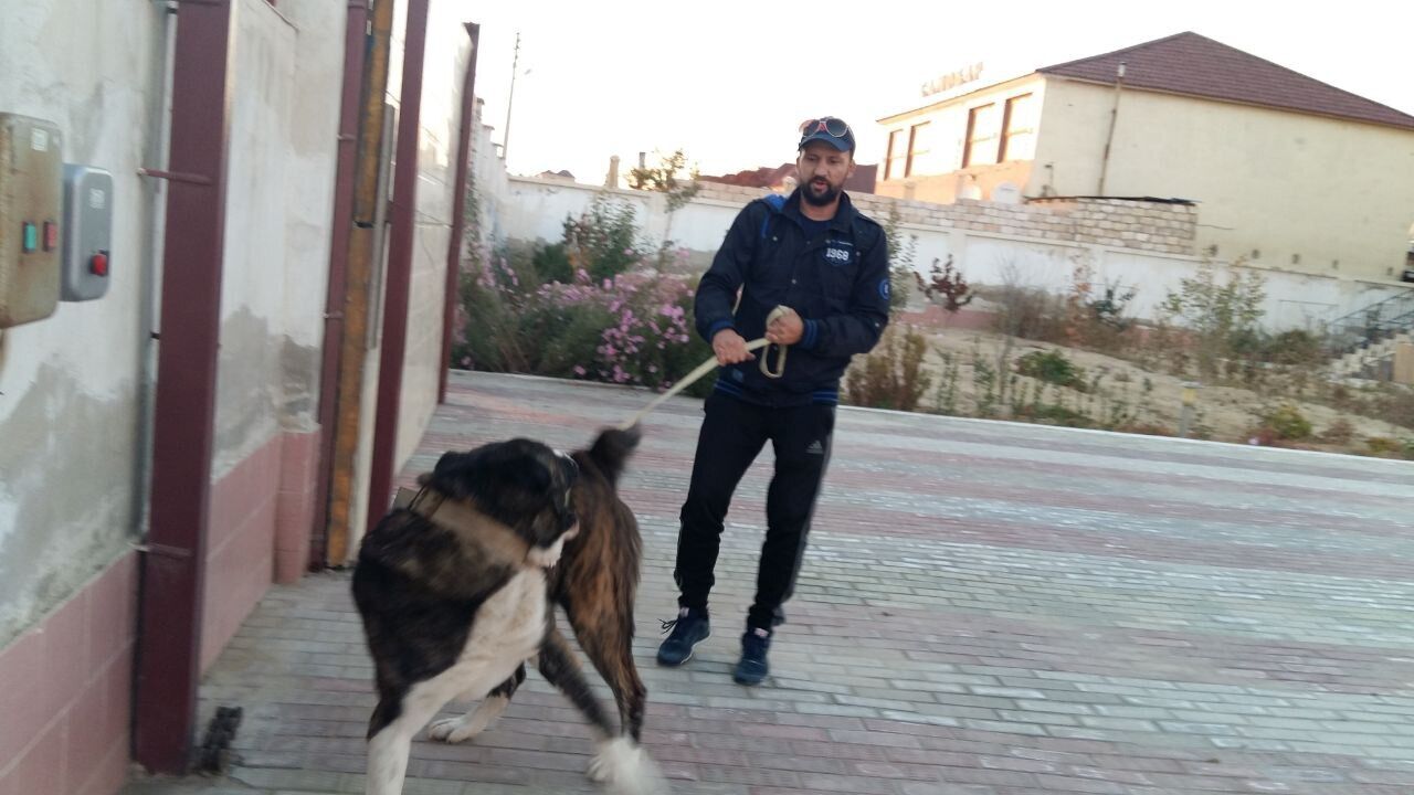  39412809  VASSILIY, 51 ,    