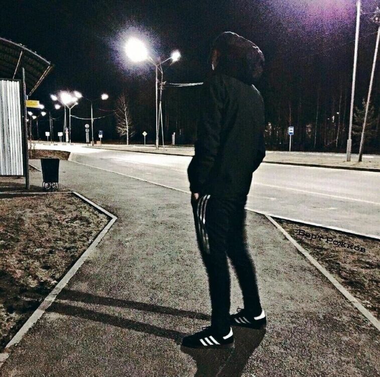  24042919  , 28 ,    
