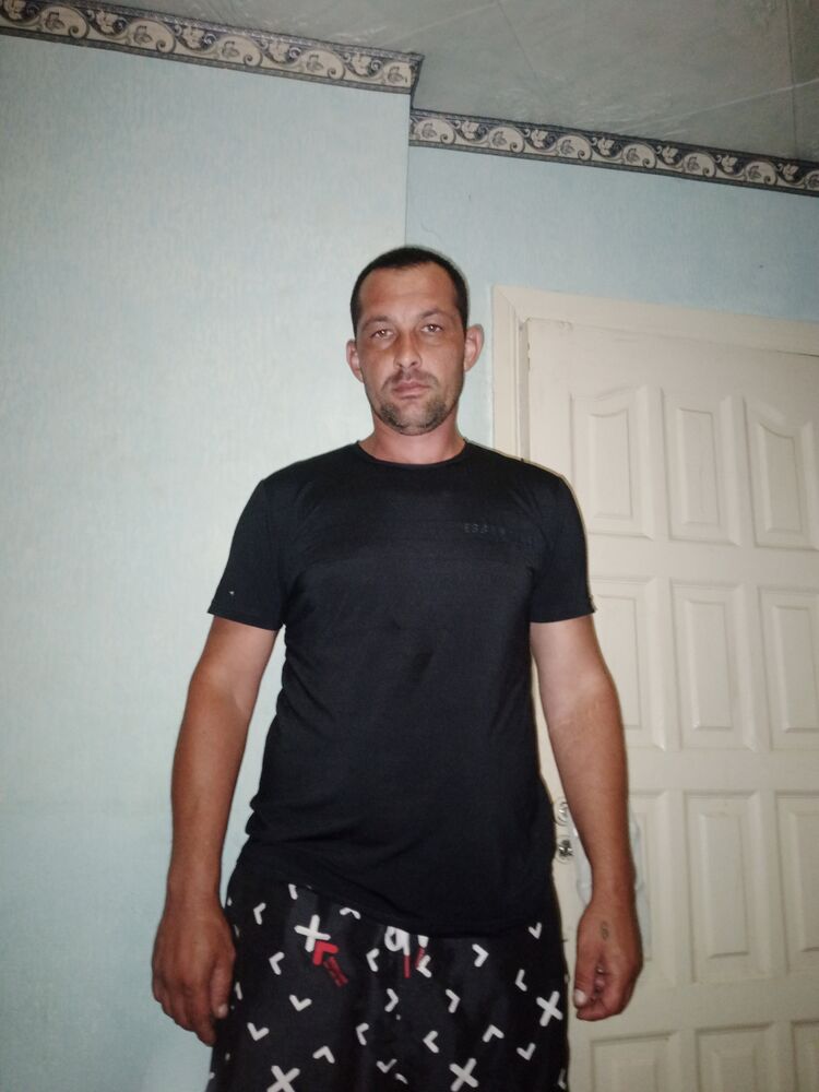  36540079  , 38 ,    