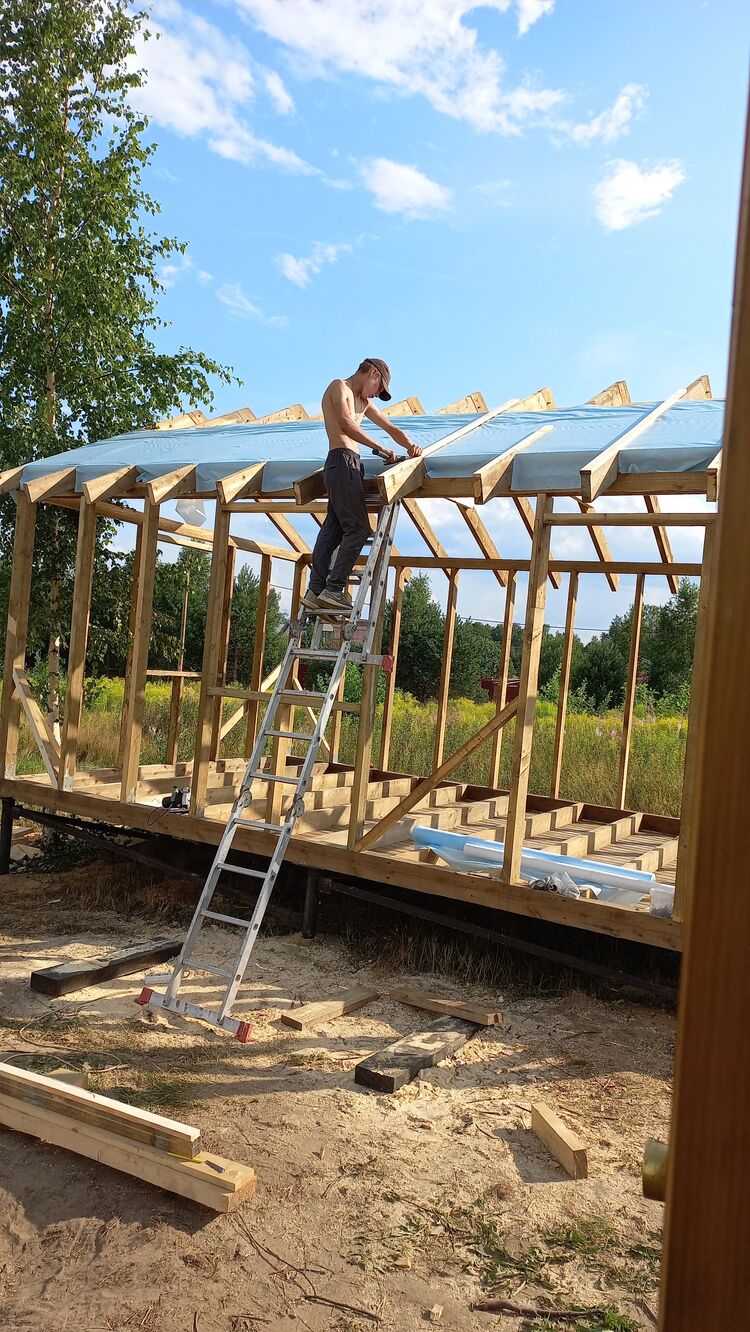  33159309  , 52 ,    -