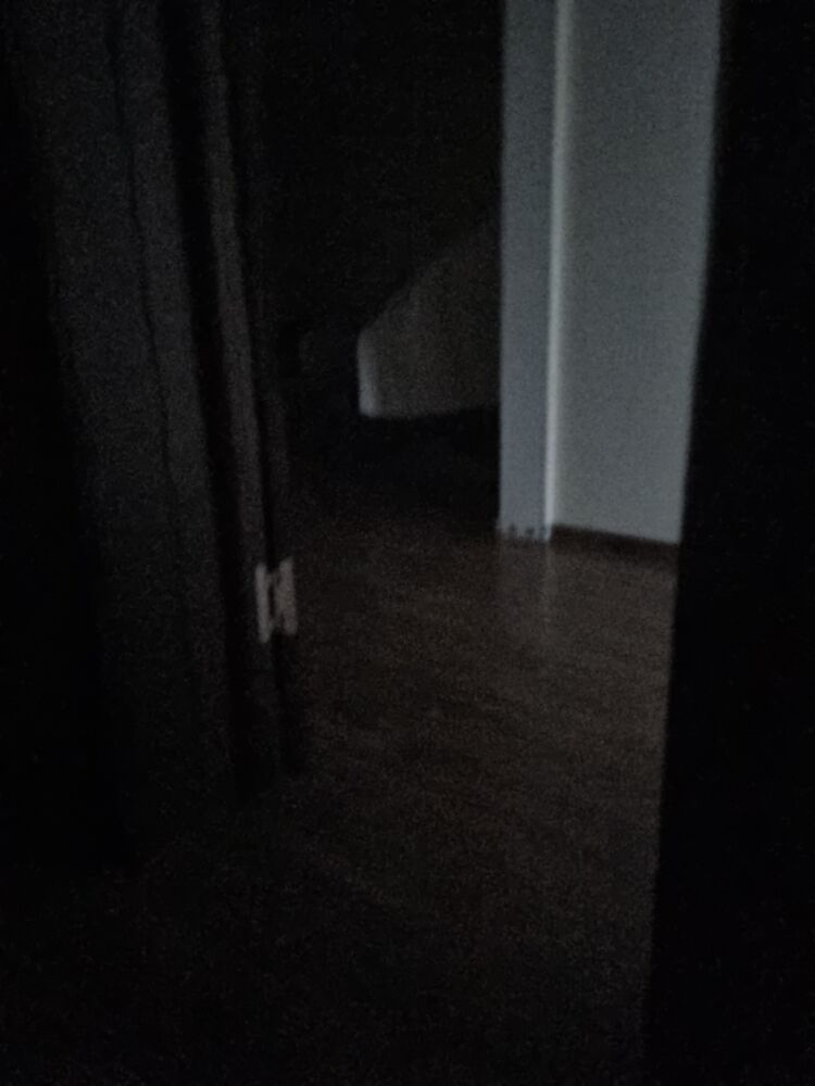 ���� 31613449 ����� ����, 21 ���, ���� ���������� � ��������