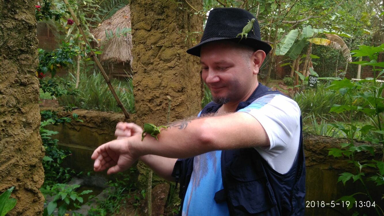 ���������� ����, ���� ������� David, 43 ����, ������������ ��� ������, ����� � ���������