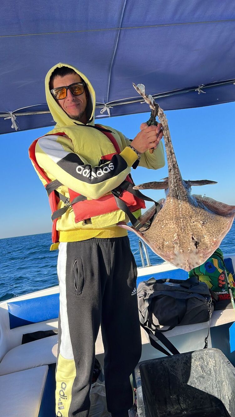 ���������� ���������, ���� ������� ������, 37 ���, ������������ ��� ������, ����� � ���������