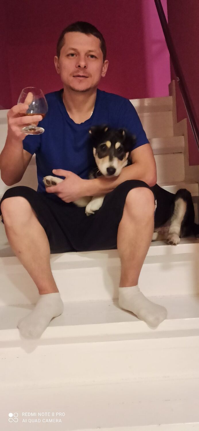 ���� 31665699 ������� ������, 40 ���, ���� ���������� � ������