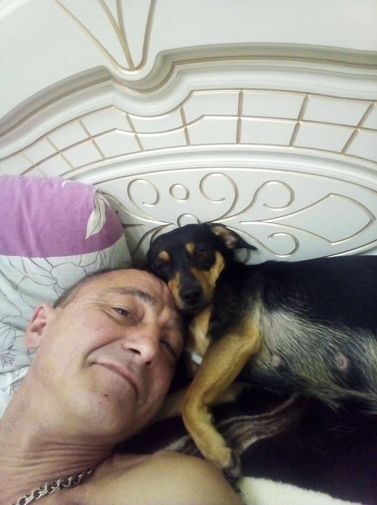 ���������� ������, ���� ������� ���������, 56 ���, ������������ ��� ������, ����� � ���������, c�������� ���������