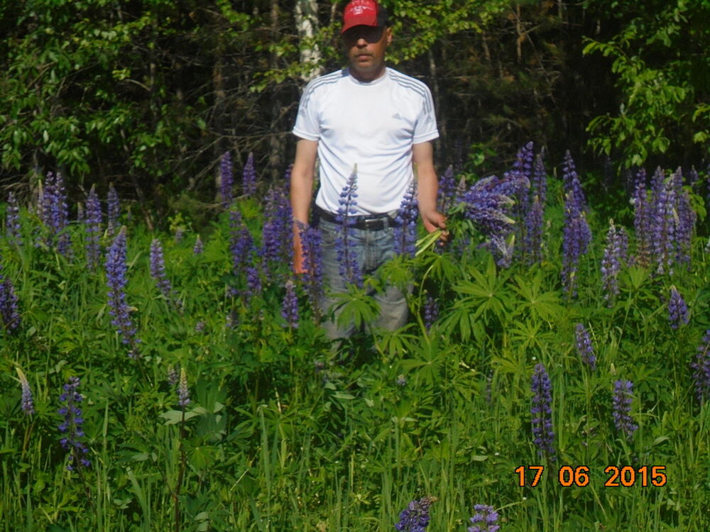 ���������� �����, ���� ������� ������, 56 ���, ������������ ��� ������, ����� � ���������, c�������� ���������