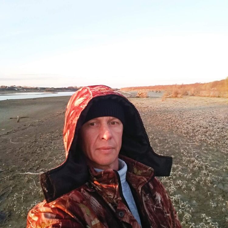 ���������� ���������, ���� ������� �������, 50 ���, ������������ ��� ������, ����� � ���������, c�������� ���������