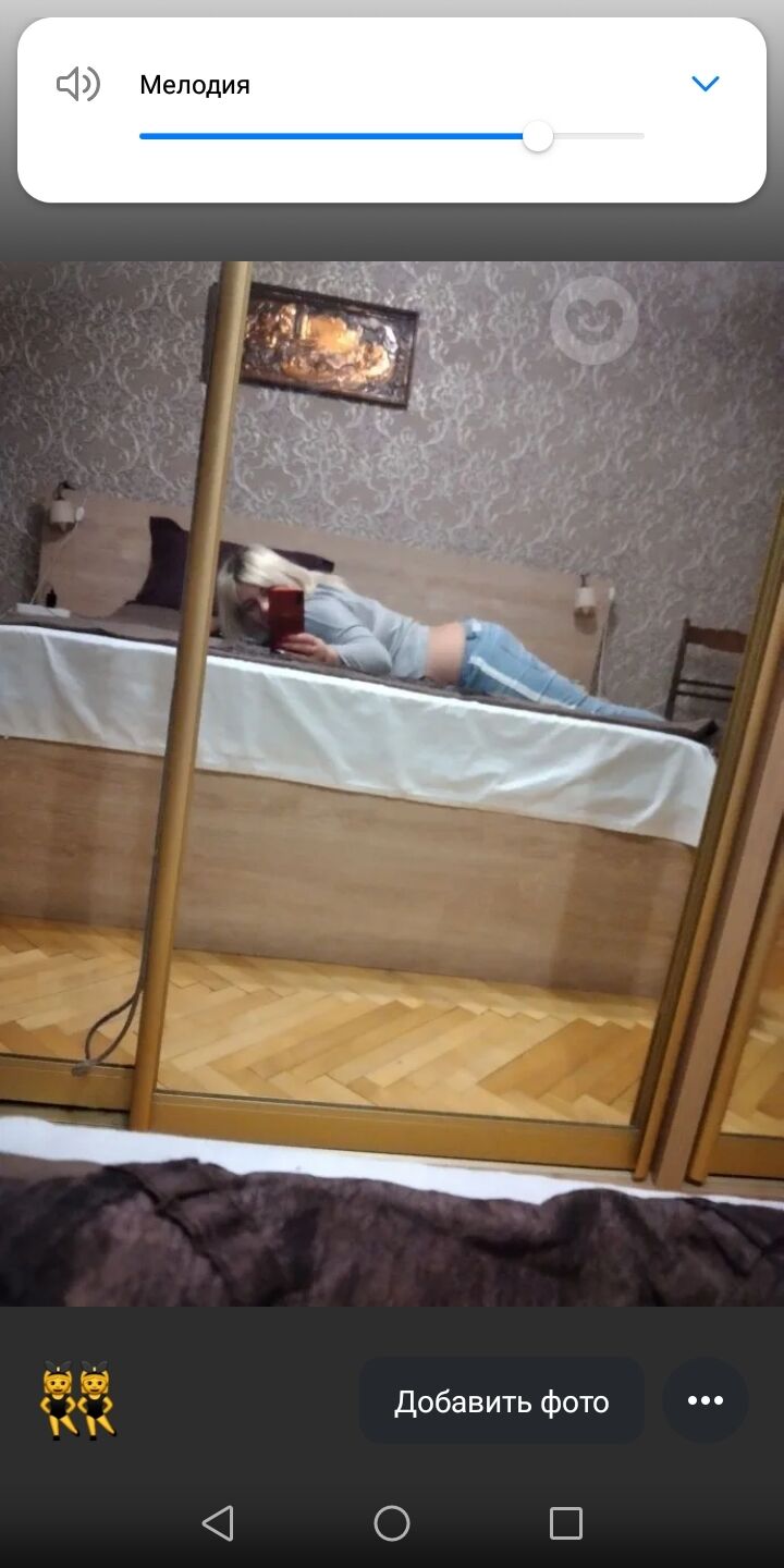  24381749  , 33 ,    