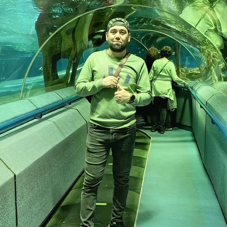 ���� 55819239 ������� ������, 38 ���, ���� ���������� � �����-����������