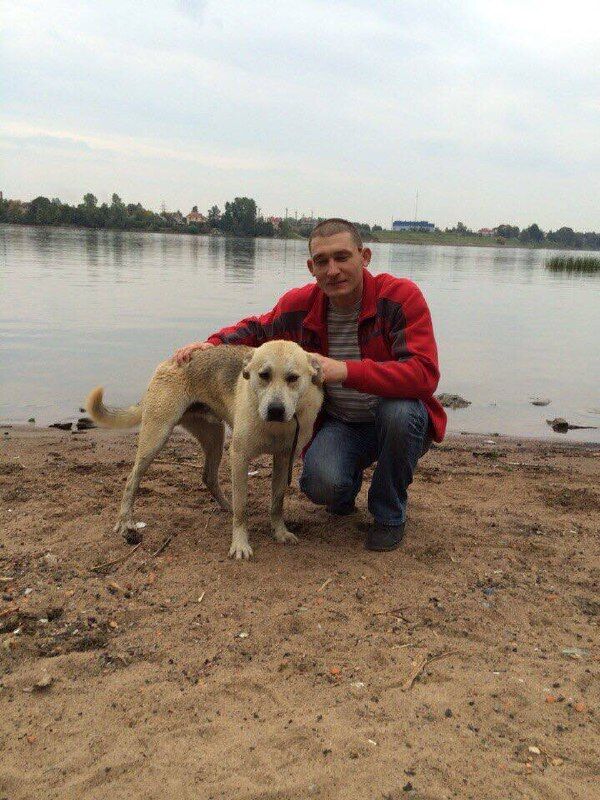 ���� 50304659 ������� ���������, 39 ���, ���� ���������� � ������