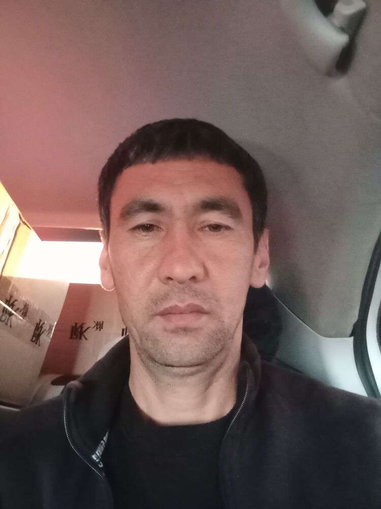  43375579  , 39 ,    