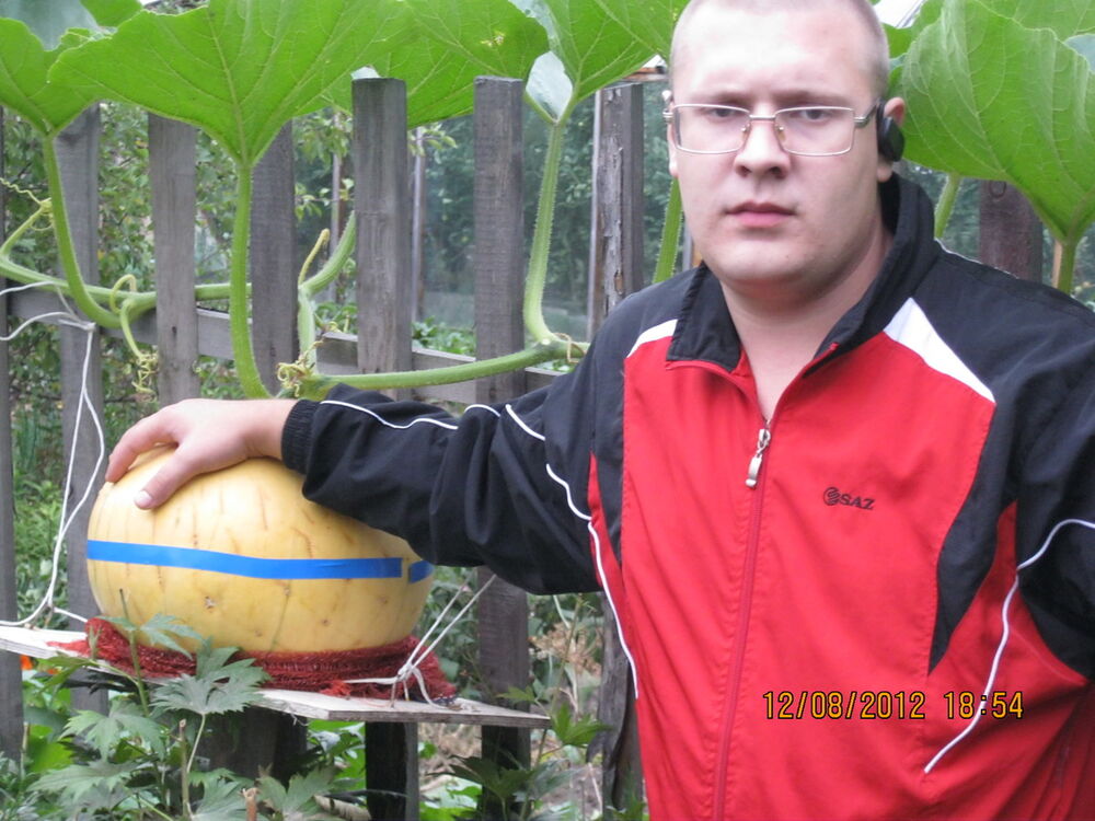 ���� 5281589 ������� �����, 38 ���, ���� ���������� � �������������