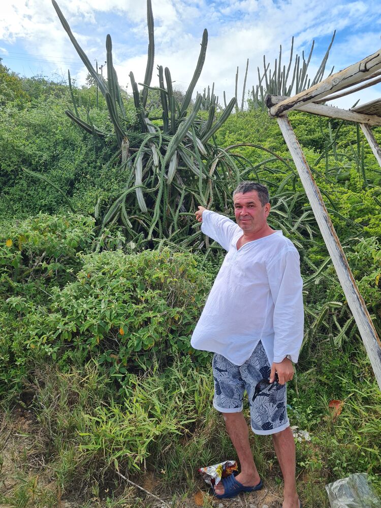 ���������� ������, ���� ������� ������, 54 ����, ������������ ��� ������, ���������