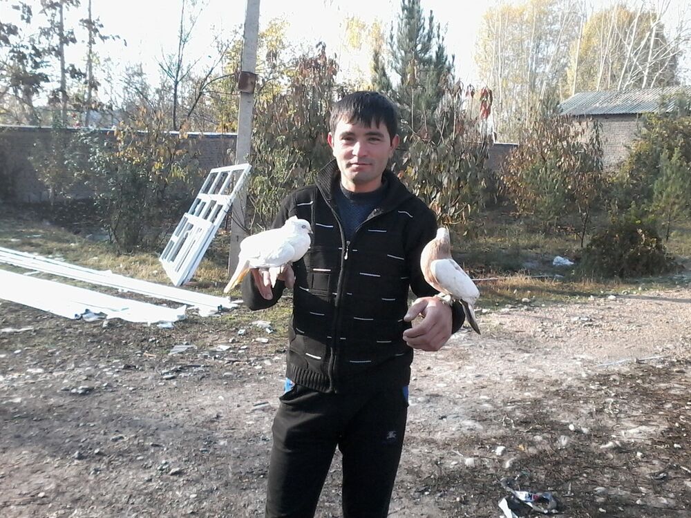 ���������� �������, ���� ������� ��� 1724247, 40 ���, ������������ ��� ������, ����� � ���������, c�������� ���������