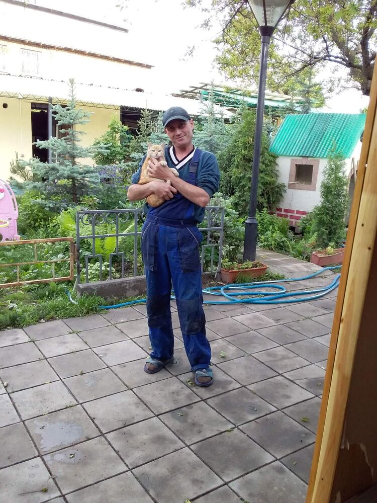  50175599  , 41 ,    