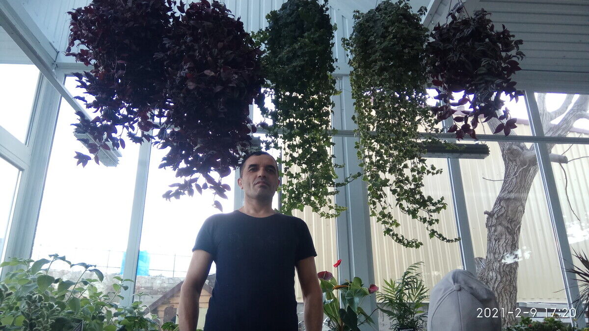 ���������� �����������, ���� ������� ���������, 47 ���, ������������ ��� ������, ����� � ���������, c�������� ���������