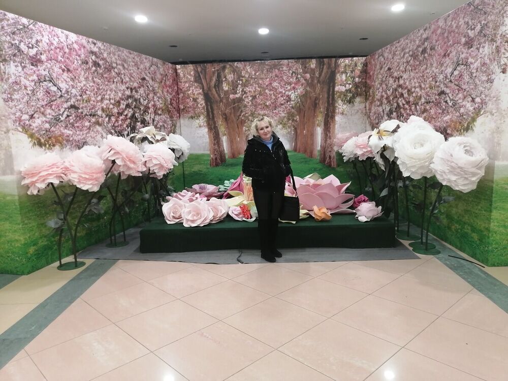 ���� 22337599 ������� �������, 54 ����, ���� ���������� � ������