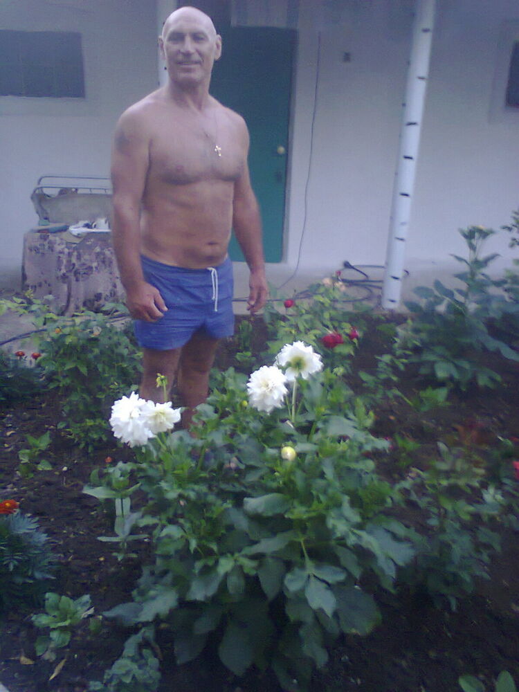  ,   , 74 ,  