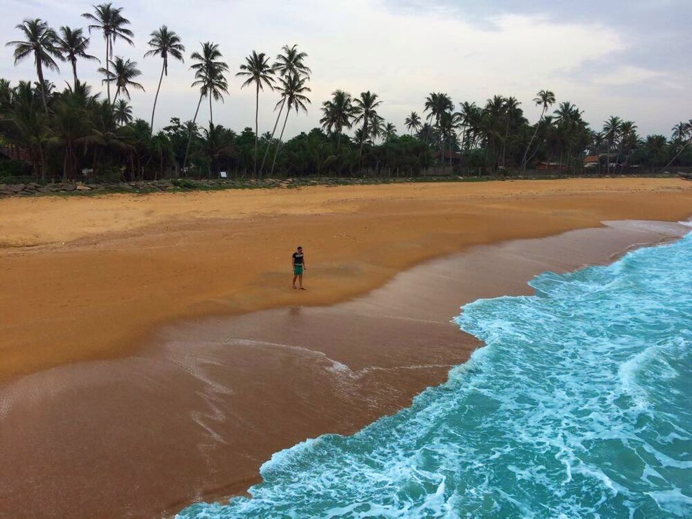 ���������� ���������, ���� ������� ������, 36 ���, ������������ ��� ����� � ���������, c�������� ���������