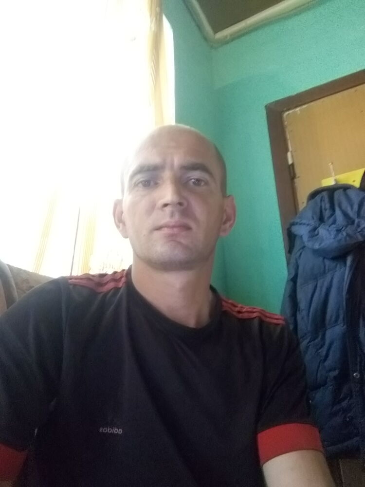  22956019  , 41 ,    