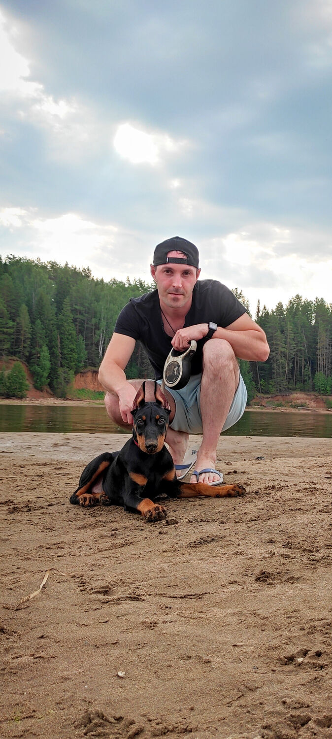 ���� 39791199 ������� Albert, 37 ���, ���� ���������� � �������