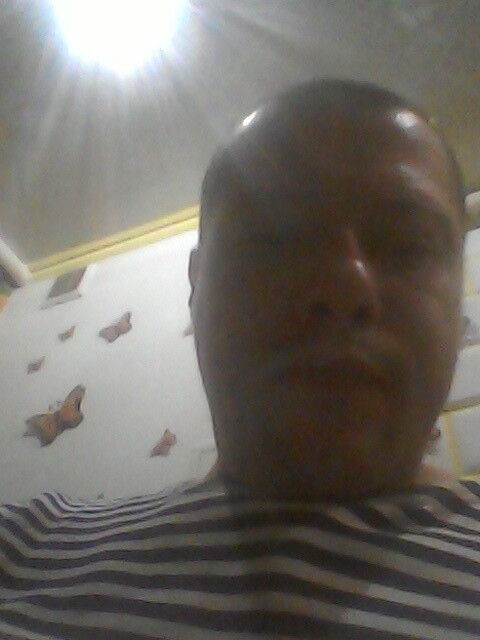  8445329   , 43 ,    