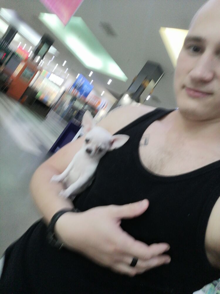 ���������� ��������, ���� ������� ����, 29 ���, ������������ ��� ������, ����� � ���������