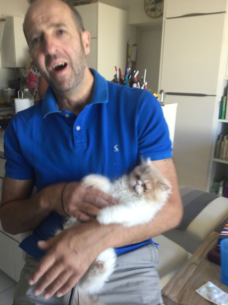 ���� 52509309 ������� Jack, 55 ���, ���� ���������� � �����