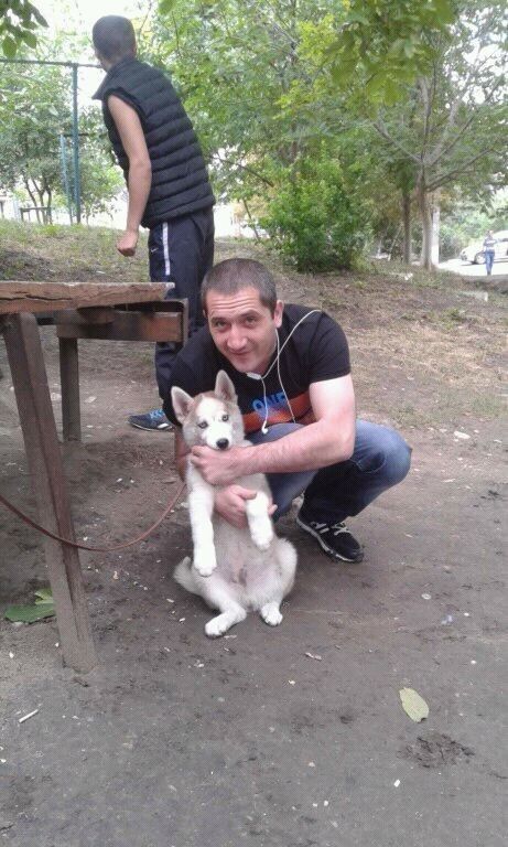 ���������� �������, ���� ������� Vanea, 40 ���, ������������ ��� ������, ����� � ���������, c�������� ���������