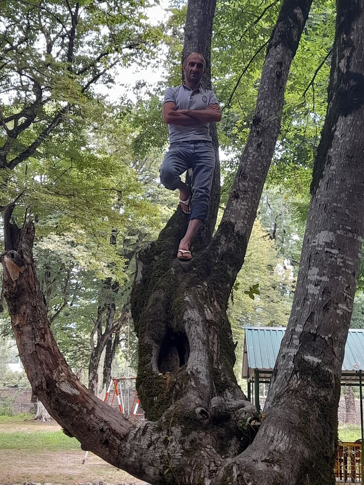 ���������� �������, ���� ������� ����, 45 ���, ������������ ��� ������, ����� � ���������