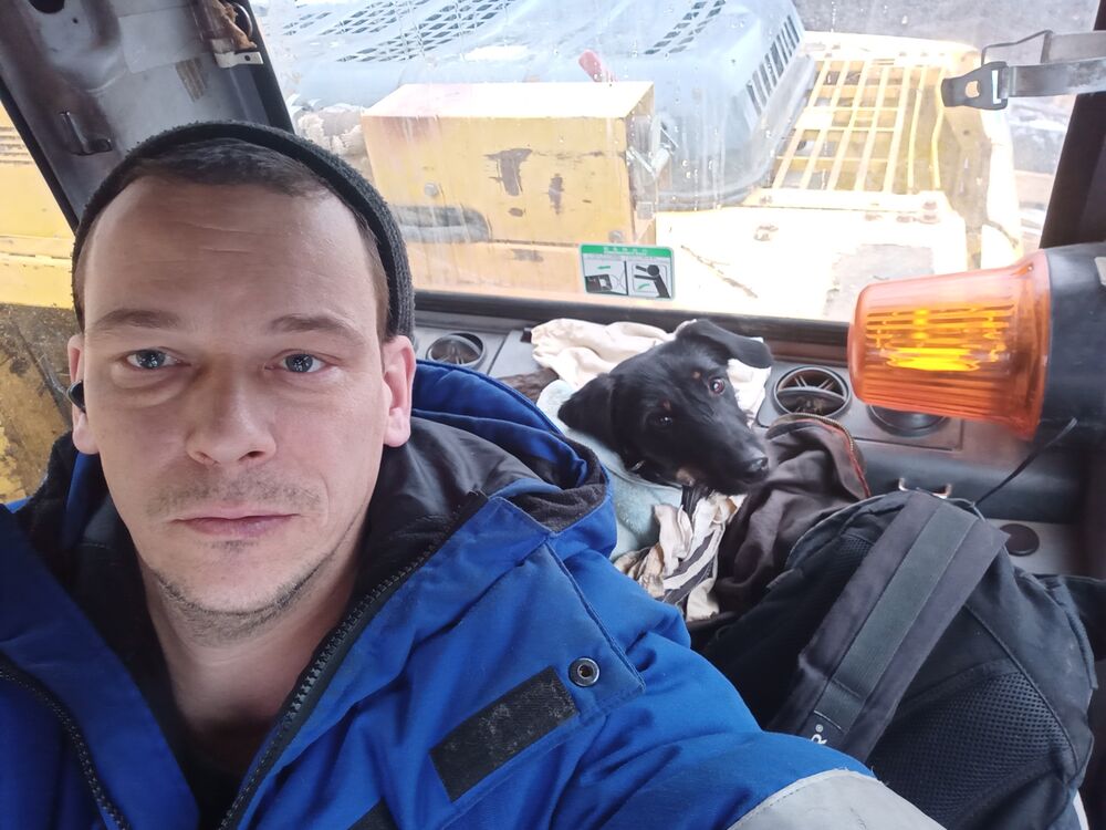 ���� 24762099 ������� �����, 47 ���, ���� ���������� � ������