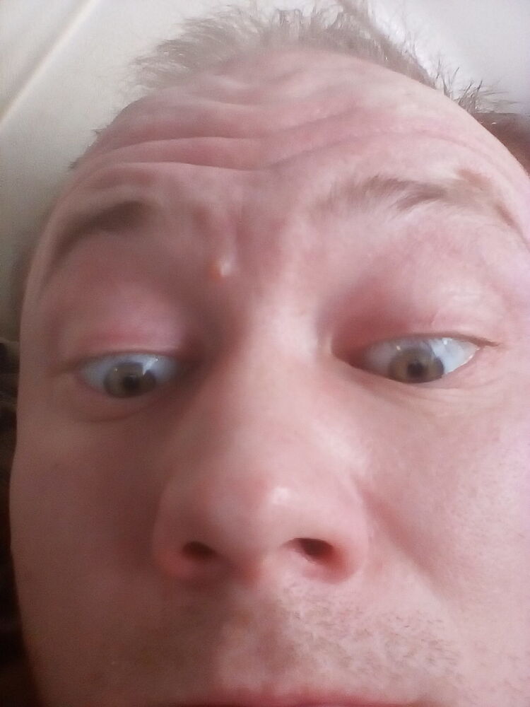 ���� 18955469 ������� ����, 40 ���, ���� ���������� � �������