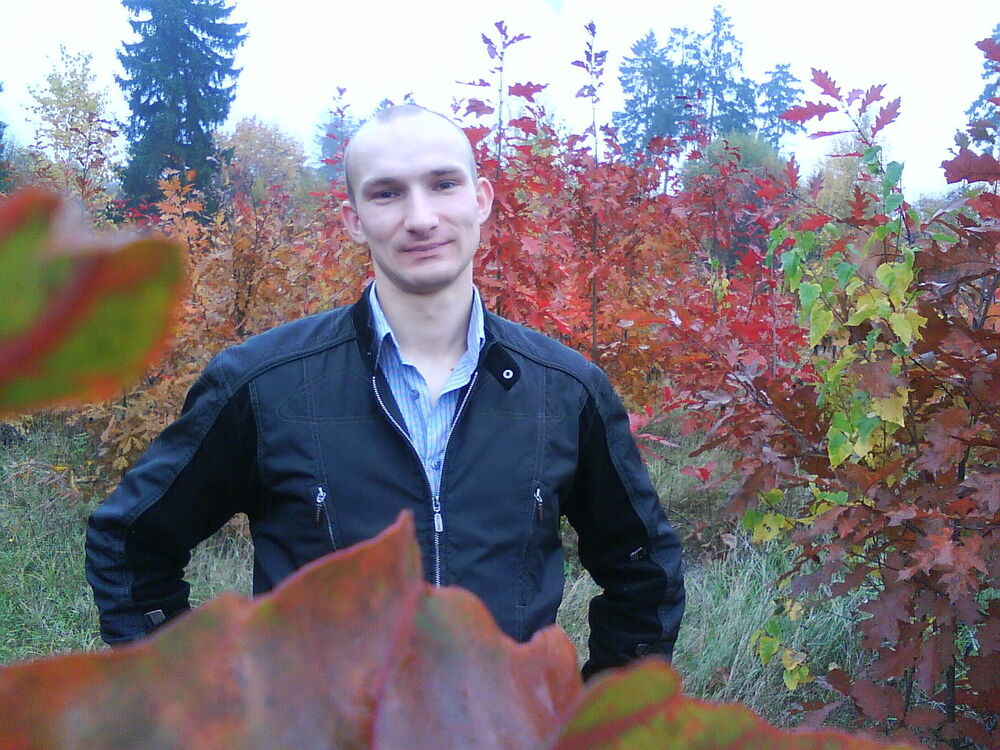 ���� 56089049 ������� ���������, 38 ���, ���� ���������� � �������