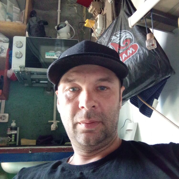  53276889  , 38 ,    