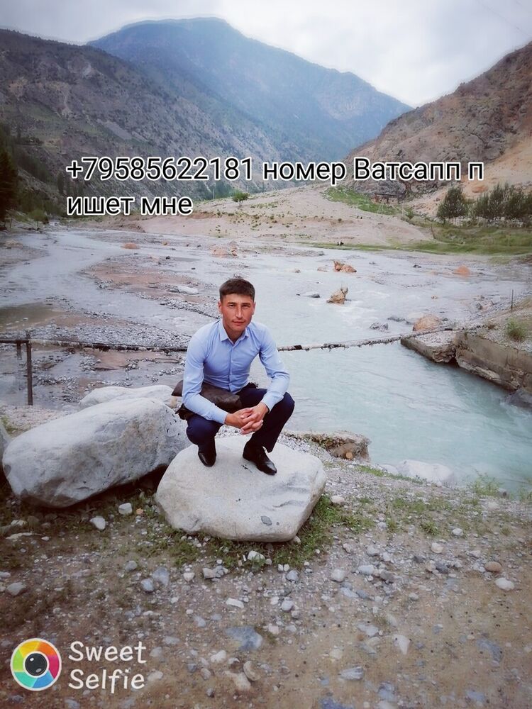  20825619  , 33 ,    