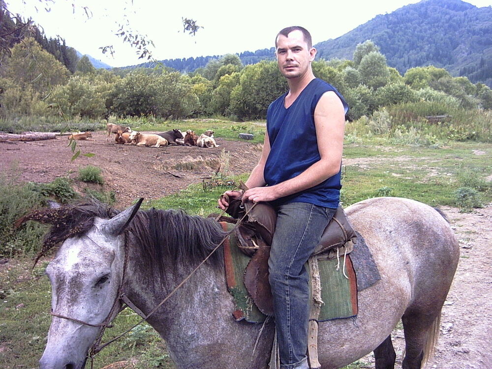  4371479  , 51 ,    -