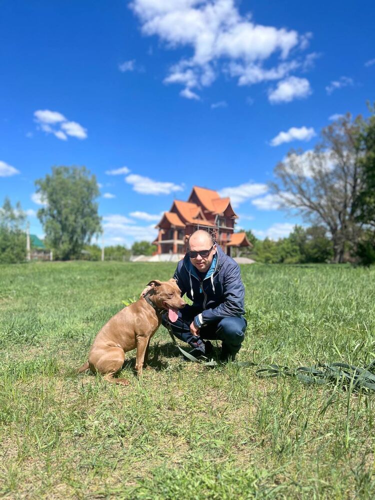 ���� 43515529 ������� ������, 42 ����, ���� ���������� � ��������